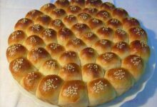 خلية النحل القطنية بالزبادي