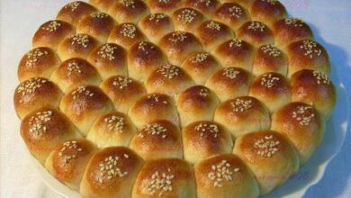 خلية النحل القطنية بالزبادي